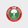 Escudos termoadhesivos para uniformes escolares x5 - Image 47