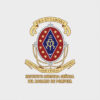 Escudos termoadhesivos para uniformes escolares x5 - Image 34