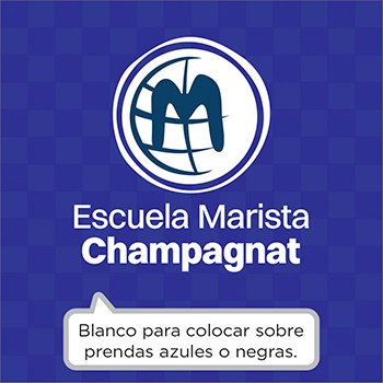 Escudos termoadhesivos para uniformes escolares x5 - Image 19